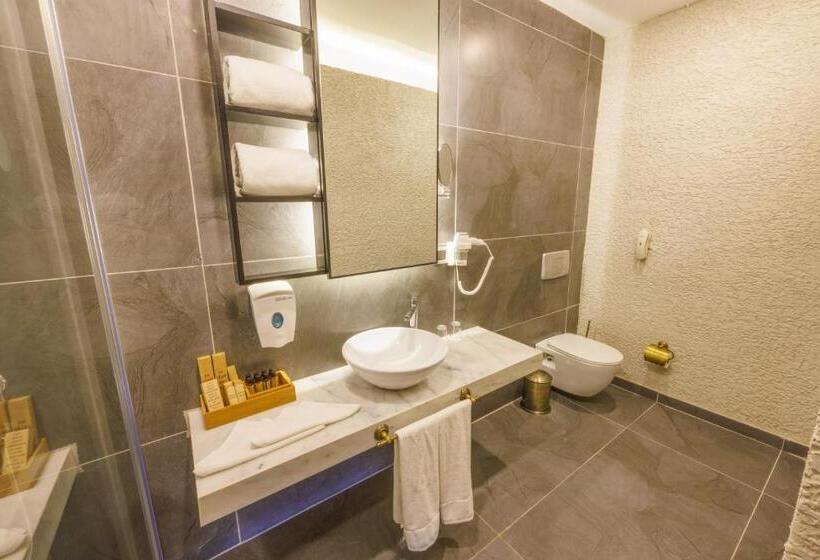 ویلای یک اتاق خوابه با استخر شنا, Flora Garden Beach Club   All Inclusive