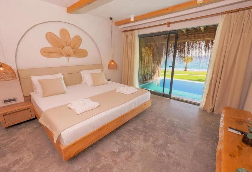 ویلای یک اتاق خوابه با استخر شنا, Flora Garden Beach Club   All Inclusive