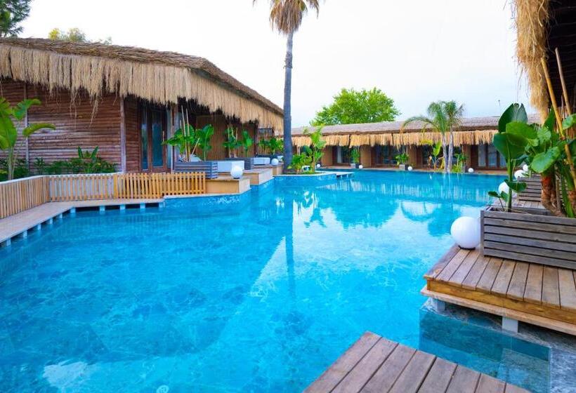 اتاق استاندارد با چشم‌انداز استخر, Flora Garden Beach Club   All Inclusive