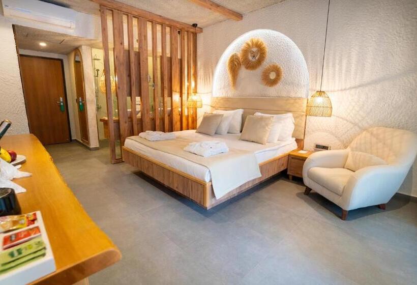 اتاق استاندارد با چشم‌انداز استخر, Flora Garden Beach Club   All Inclusive