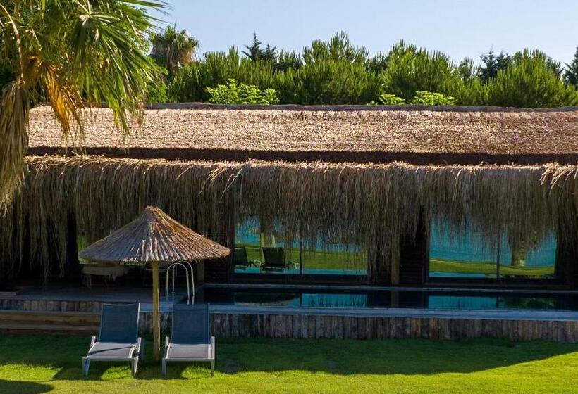 ویلای 1 خوابه, Flora Garden Beach Club   All Inclusive