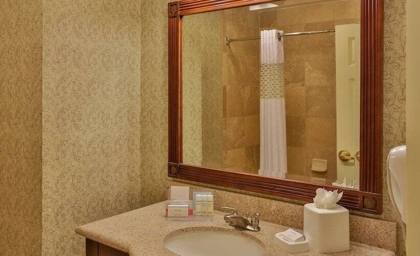 استودیو استاندارد با تخت کینگ, Hampton Inn & Suites Savannah Historic District
