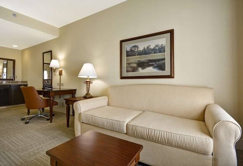 استودیو استاندارد با تخت کینگ, Hampton Inn & Suites Savannah Historic District