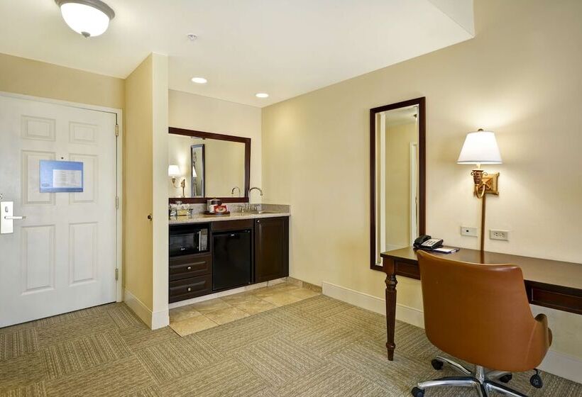 Standaard Studio met Kingsize Bed, Hampton Inn And Suites Savannahhistoric District