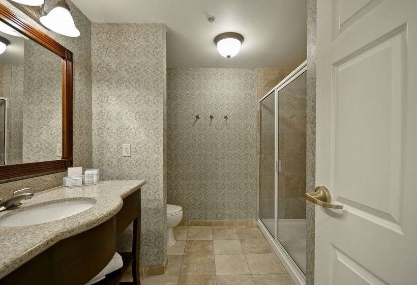 اتاق استاندارد, Hampton Inn & Suites Savannah Historic District
