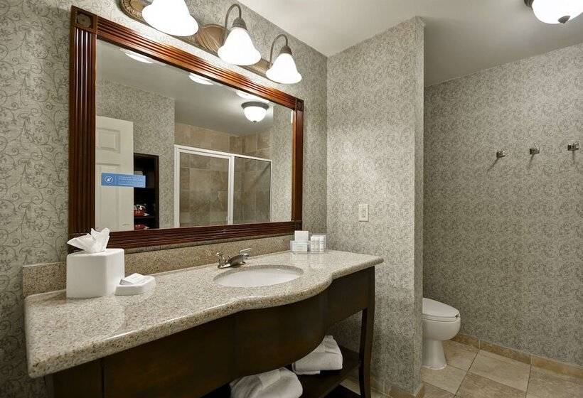 اتاق استاندارد, Hampton Inn & Suites Savannah Historic District