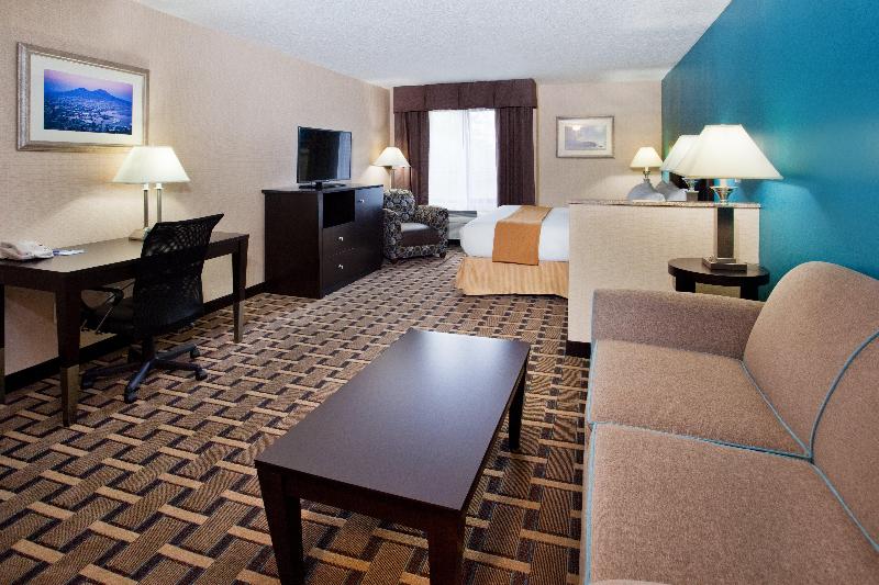 سوئیت با تخت بزرگ, Holiday Inn Express & Suites Buford Ne   Lake Lanier, An Ihg