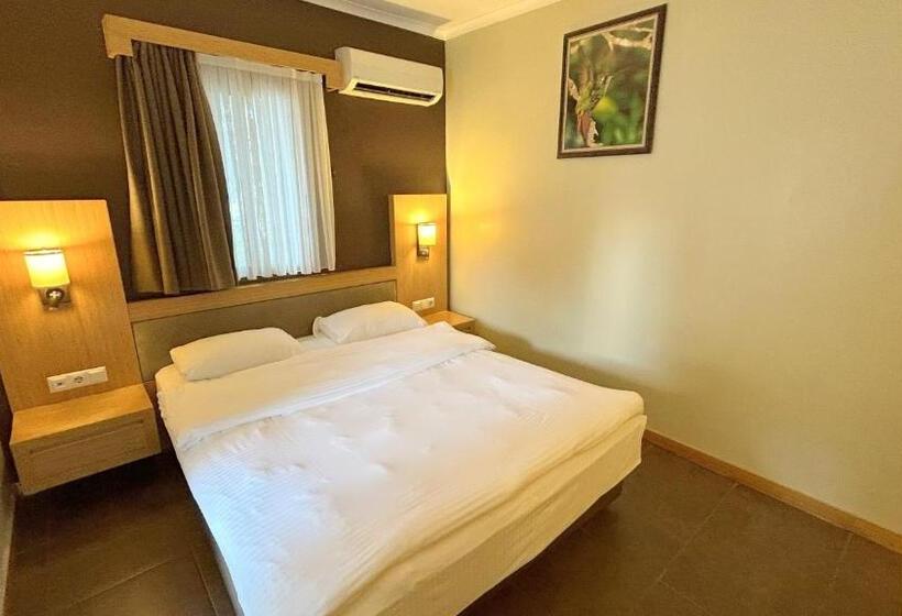 Standard Single Room, Istankoy