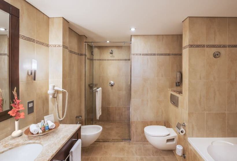 سوییت با چشم‌انداز دریا, Khalidiya Palace Rayhaan By Rotana, Abu Dhabi