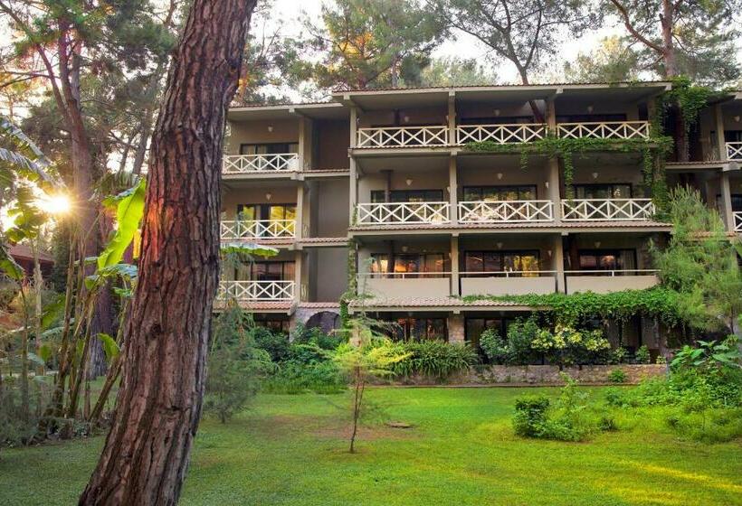 اتاق سوپریور, Martı Myra   Ultra All Inclusive