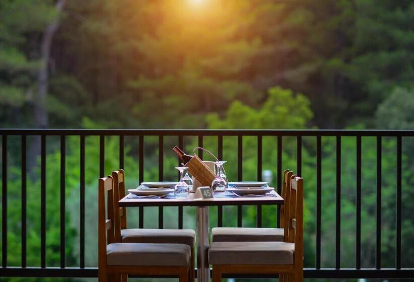 اتاق استاندارد, Pine Valley Hotel Oludeniz