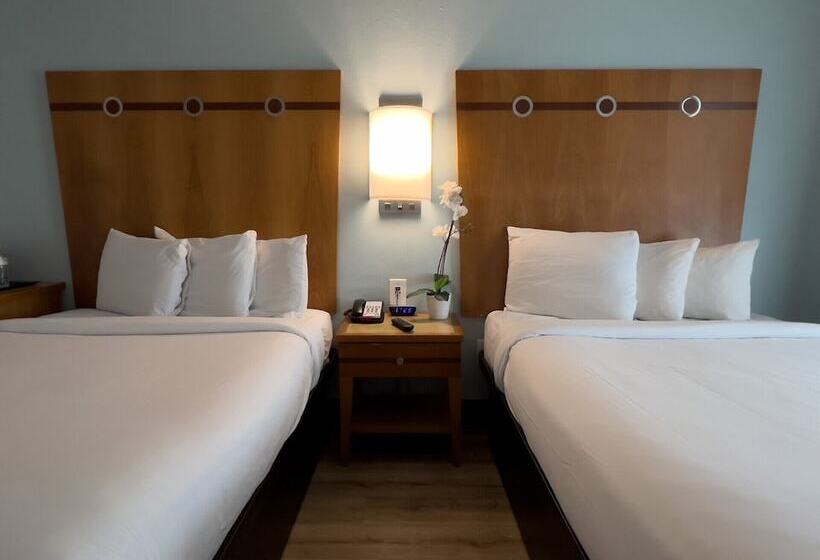 اتاق سوپریور, Majestic Hotel South Beach
