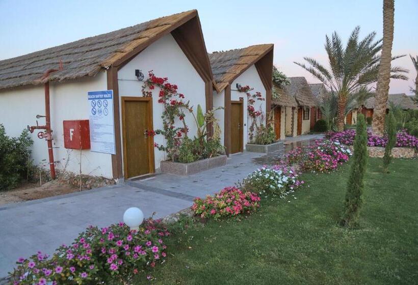 Bungalow Standard Vue Lac, Panorama Bungalows Resort El Gouna