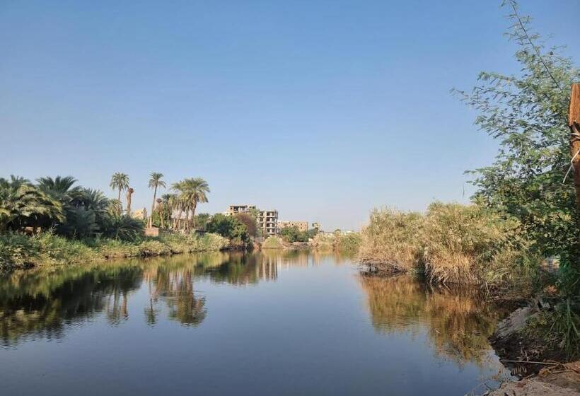 اتاق لوکس, Luxor Old Nile