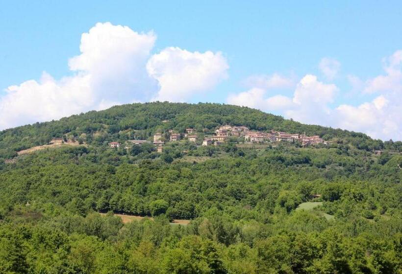1 Bedroom Penthouse Apartment, Agriturismo La Via Dell Oliviera
