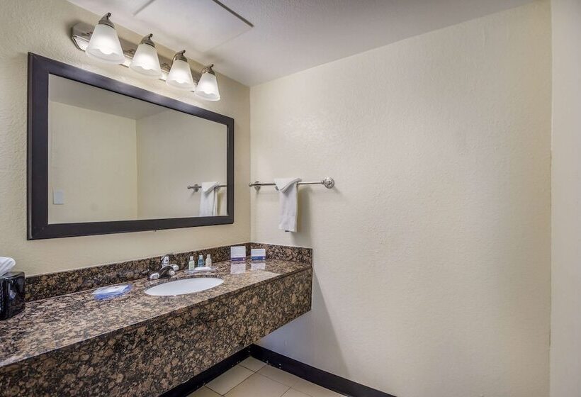 Quarto Standard 2 Camas Casal, Clarion Inn & Suites Clearwater Central