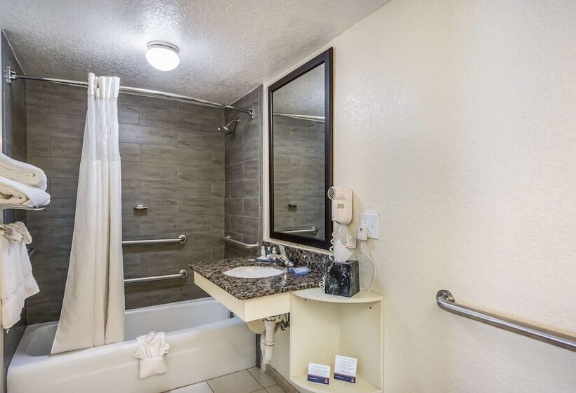 Quarto Standard 2 Camas Casal, Clarion Inn & Suites Clearwater Central