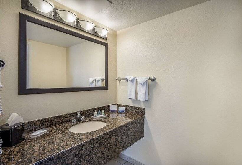 Quarto Standard 2 Camas Casal, Clarion Inn & Suites Clearwater Central