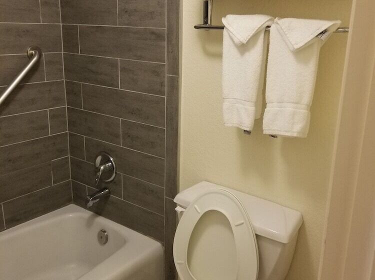 Quarto Standard 2 Camas Casal, Clarion Inn & Suites Clearwater Central