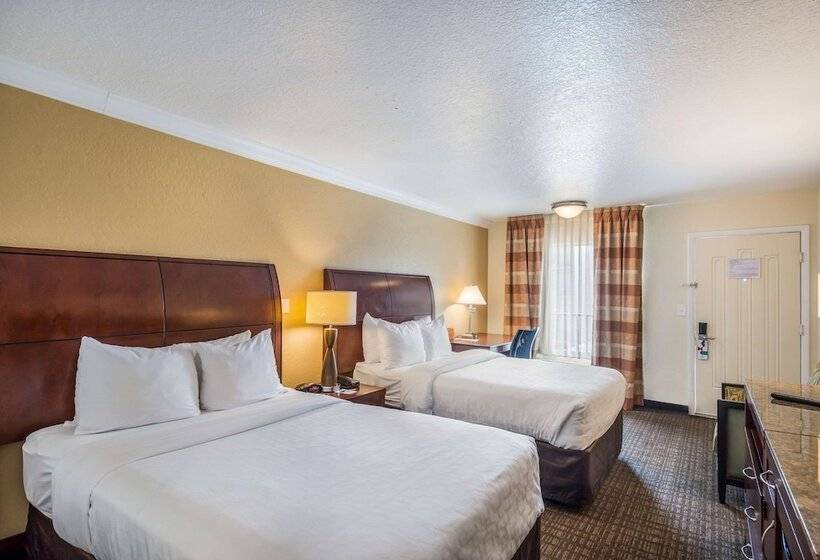 Quarto Standard 2 Camas Casal, Clarion Inn & Suites Clearwater Central