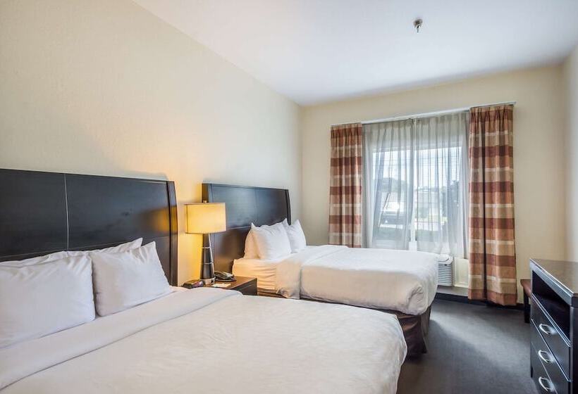 Suite, Clarion Inn & Suites Clearwater Central