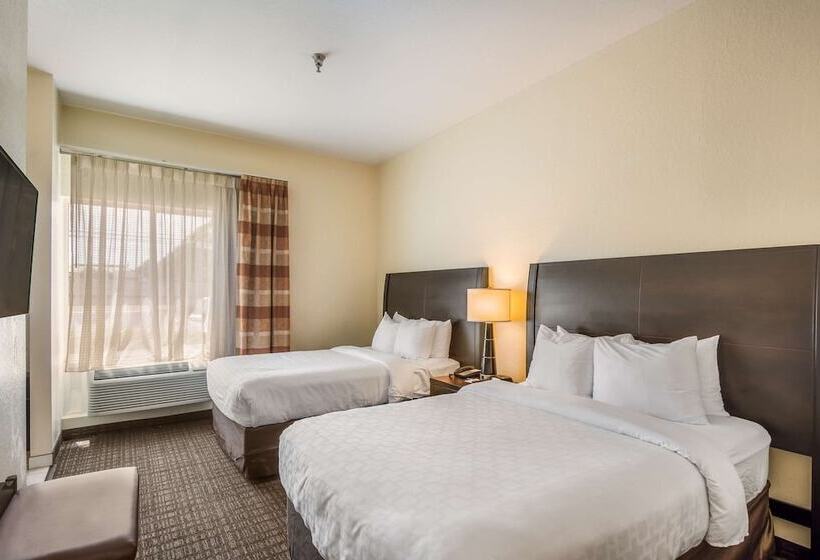 Suite, Clarion Inn & Suites Clearwater Central