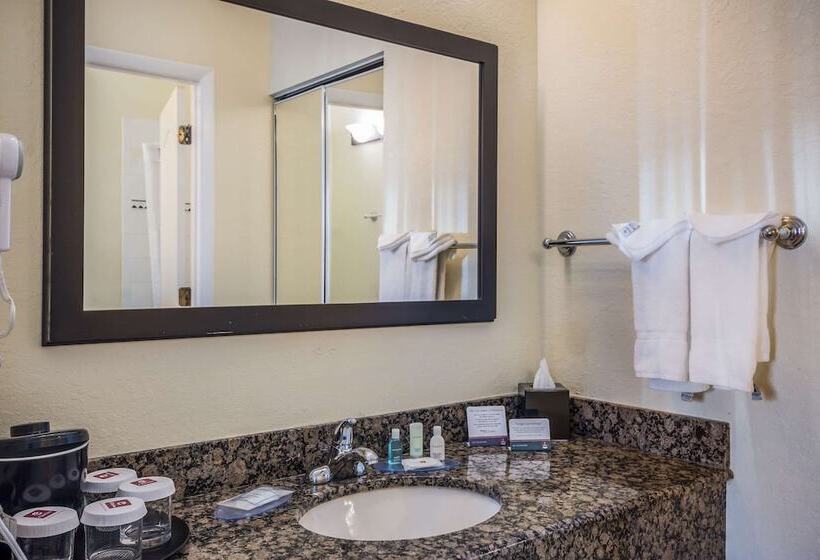 Suite, Clarion Inn & Suites Clearwater Central