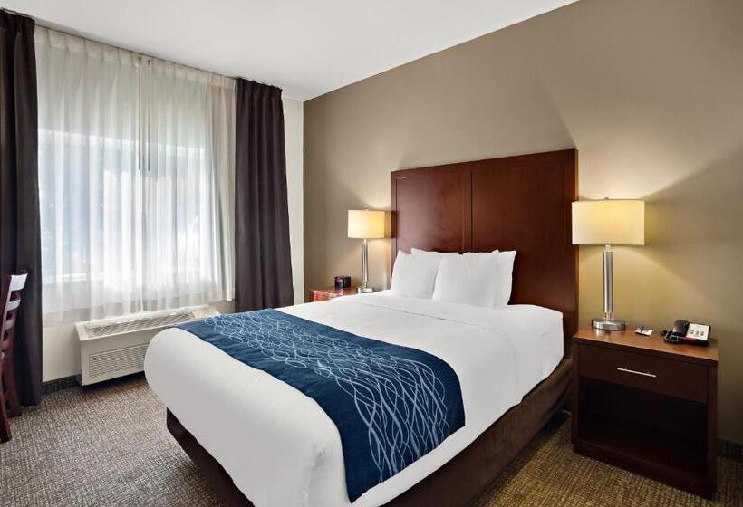 اتاق استاندارد, Comfort Inn Lacey  Olympia