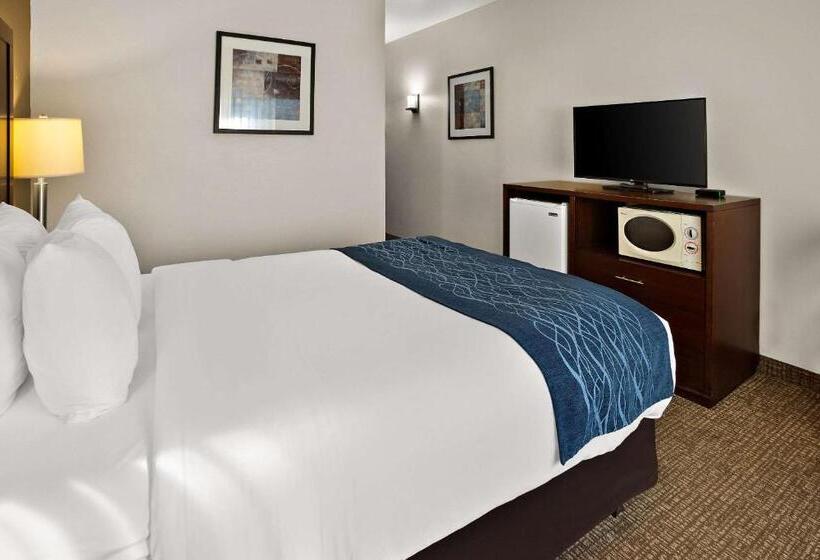 اتاق استاندارد, Comfort Inn Lacey  Olympia