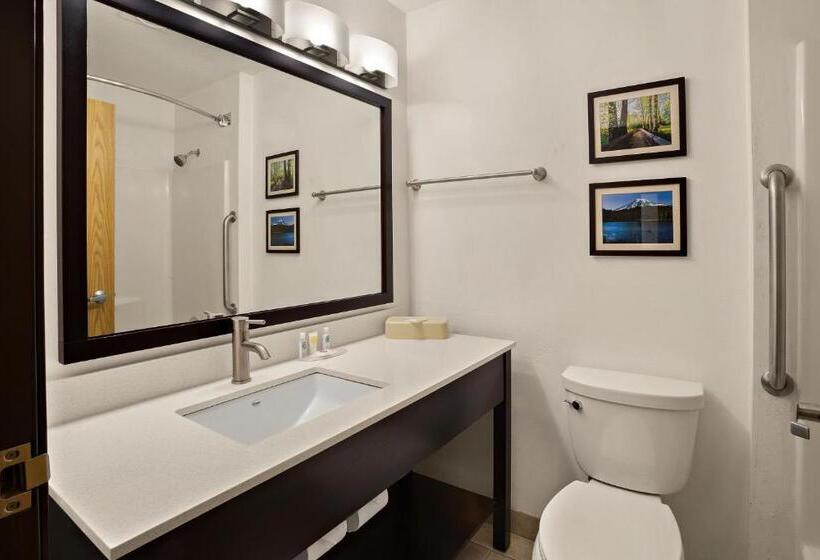 استودیوی لوکس, Comfort Inn Lacey  Olympia