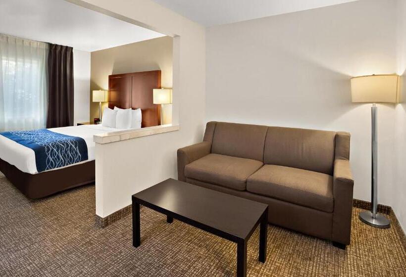 سوئیت برای معلولان, Comfort Inn Lacey  Olympia