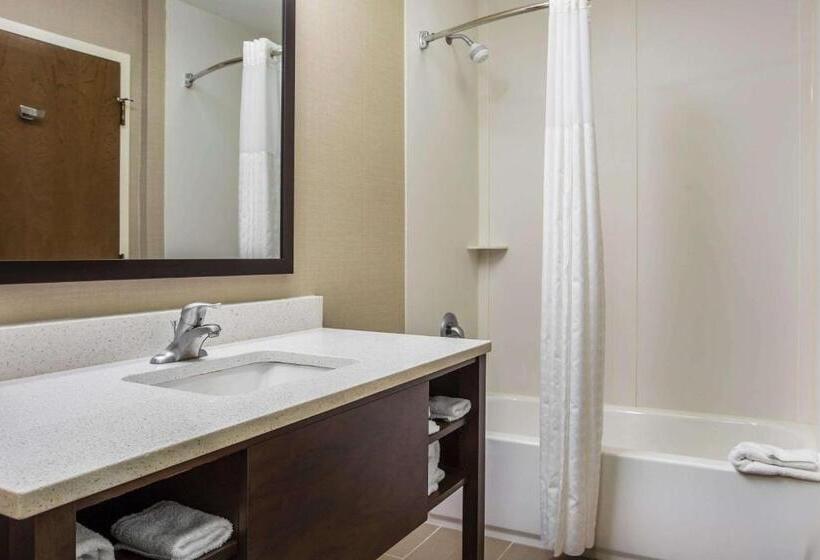 Suite Cama King, Comfort Suites At Isle Of Palms Connector