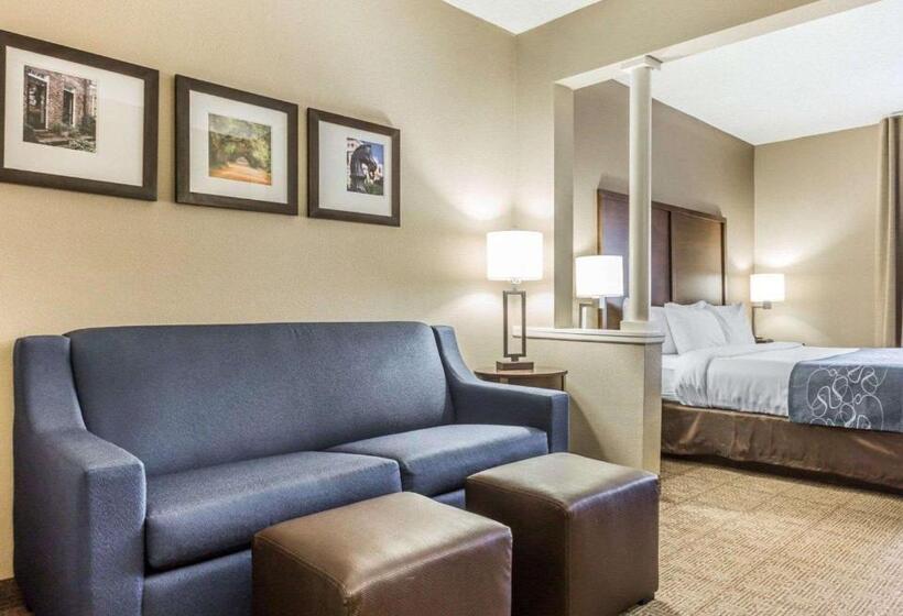 キングサイズベッドのスイートルーム, Comfort Suites At Isle Of Palms Connector