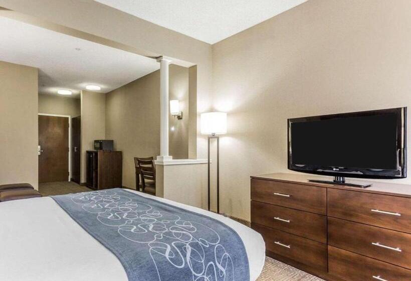 Suite Adaptada para personas con movilidad reducida, Comfort Suites At Isle Of Palms Connector