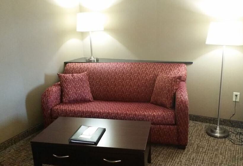 سوییت, Comfort Suites Bentonville  Rogers