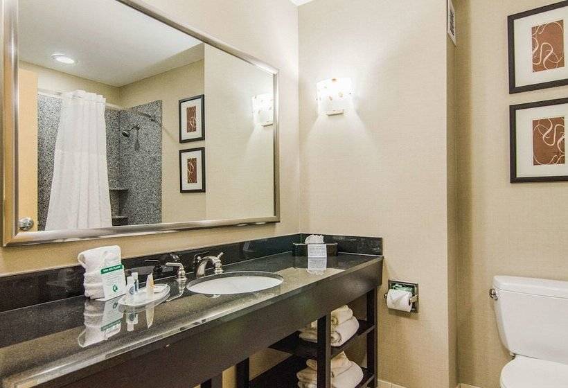 سوییت, Comfort Suites Bentonville  Rogers