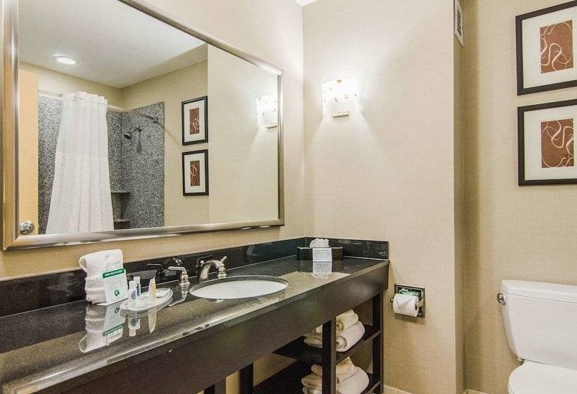 Suite, Comfort Suites Bentonville  Rogers