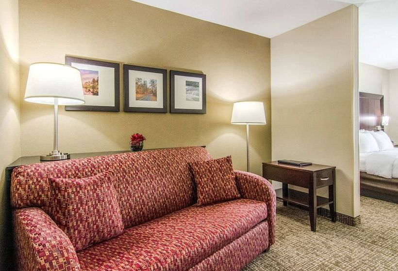 Suite Adaptada per a persones amb mobilitat reduïda, Comfort Suites Bentonville  Rogers