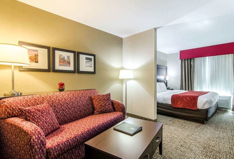 Suite Adaptată pentru Discapacitaţi, Comfort Suites Bentonville  Rogers