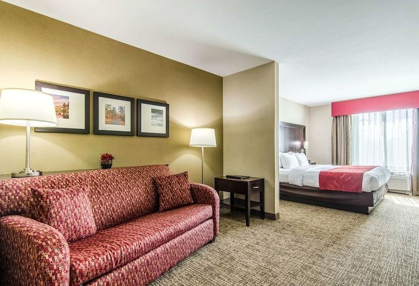 Suite Adaptada per a persones amb mobilitat reduïda, Comfort Suites Bentonville  Rogers