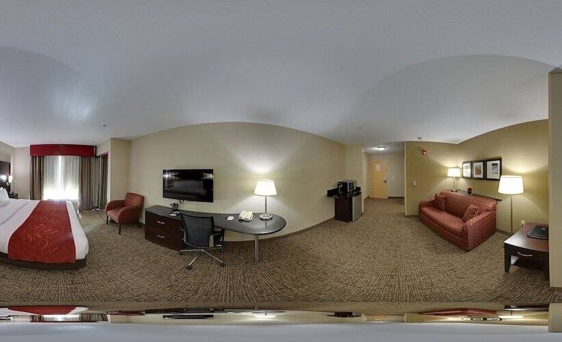 Suite Adaptată pentru Discapacitaţi, Comfort Suites Bentonville  Rogers