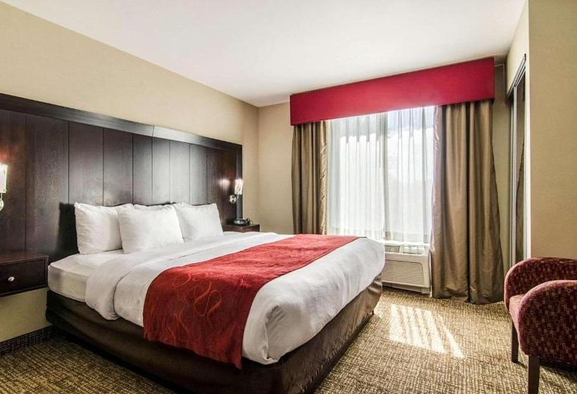 Suite Adaptada per a persones amb mobilitat reduïda, Comfort Suites Bentonville  Rogers