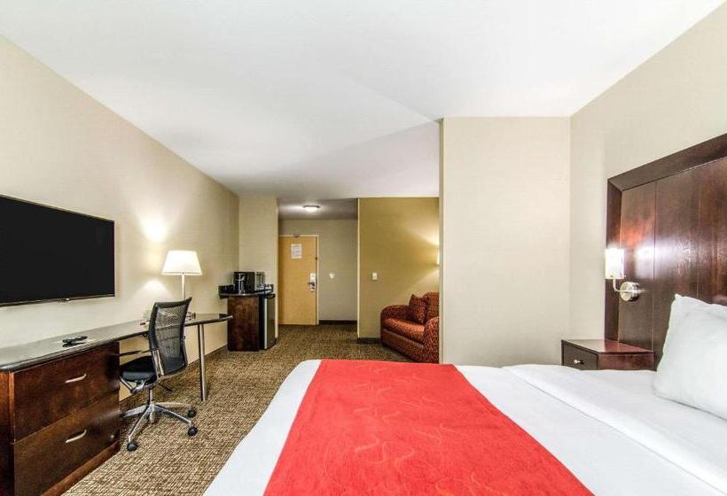 Suite Adaptada per a persones amb mobilitat reduïda, Comfort Suites Bentonville  Rogers