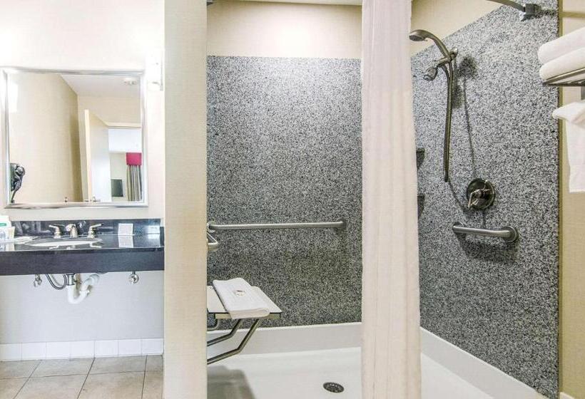 سوئیت برای معلولان, Comfort Suites Bentonville  Rogers