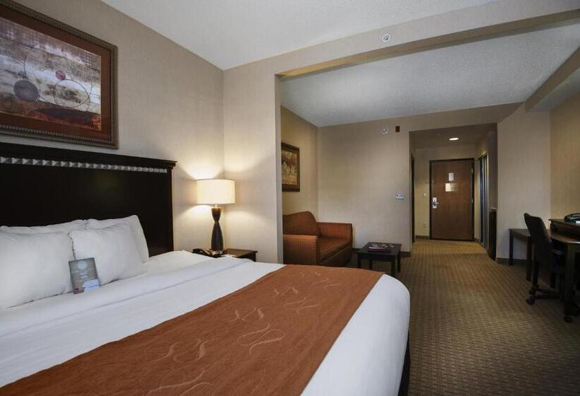 Suite Adapted for people with reduced mobility, Comfort Suites