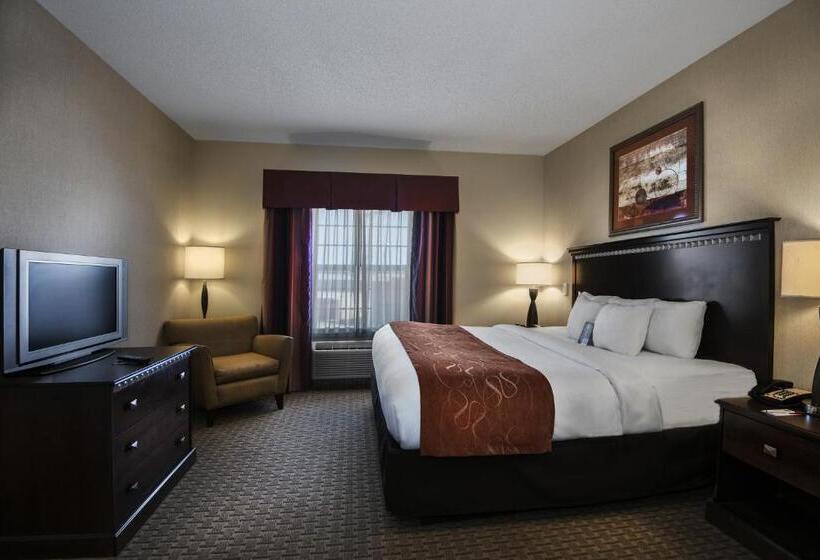 Suite Adapted for people with reduced mobility, Comfort Suites