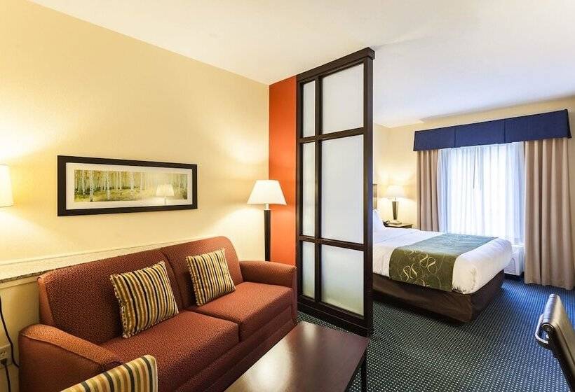 سوییت, Comfort Suites East Lincoln   Mall Area