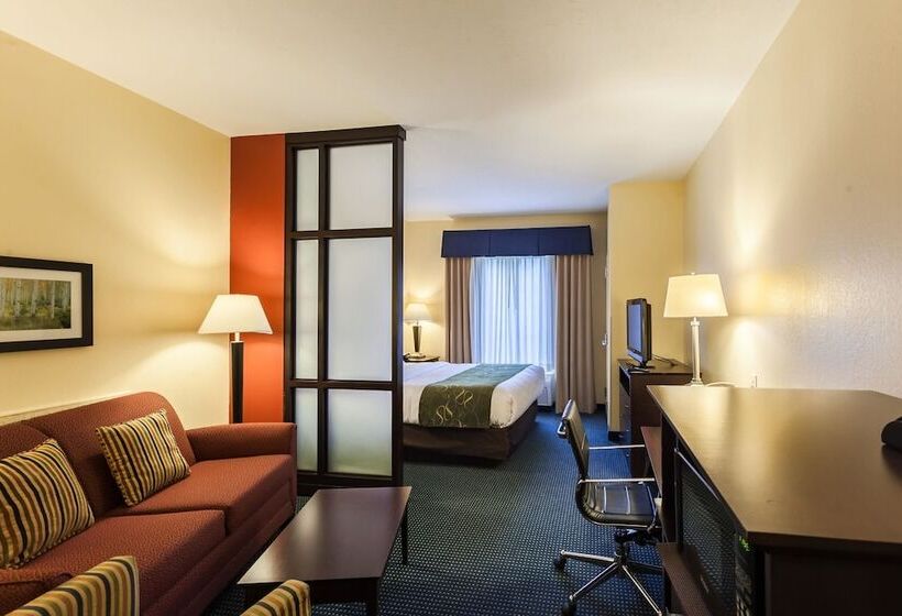 سوییت, Comfort Suites East Lincoln   Mall Area