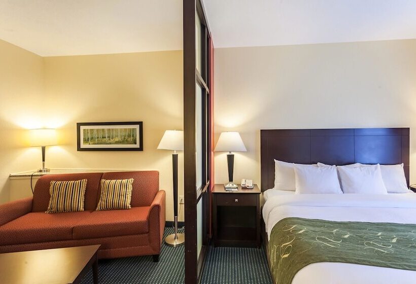 سوییت, Comfort Suites East Lincoln   Mall Area