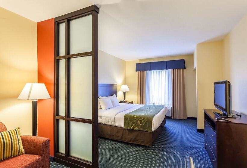 Suite Adapted for people with reduced mobility, Comfort Suites East